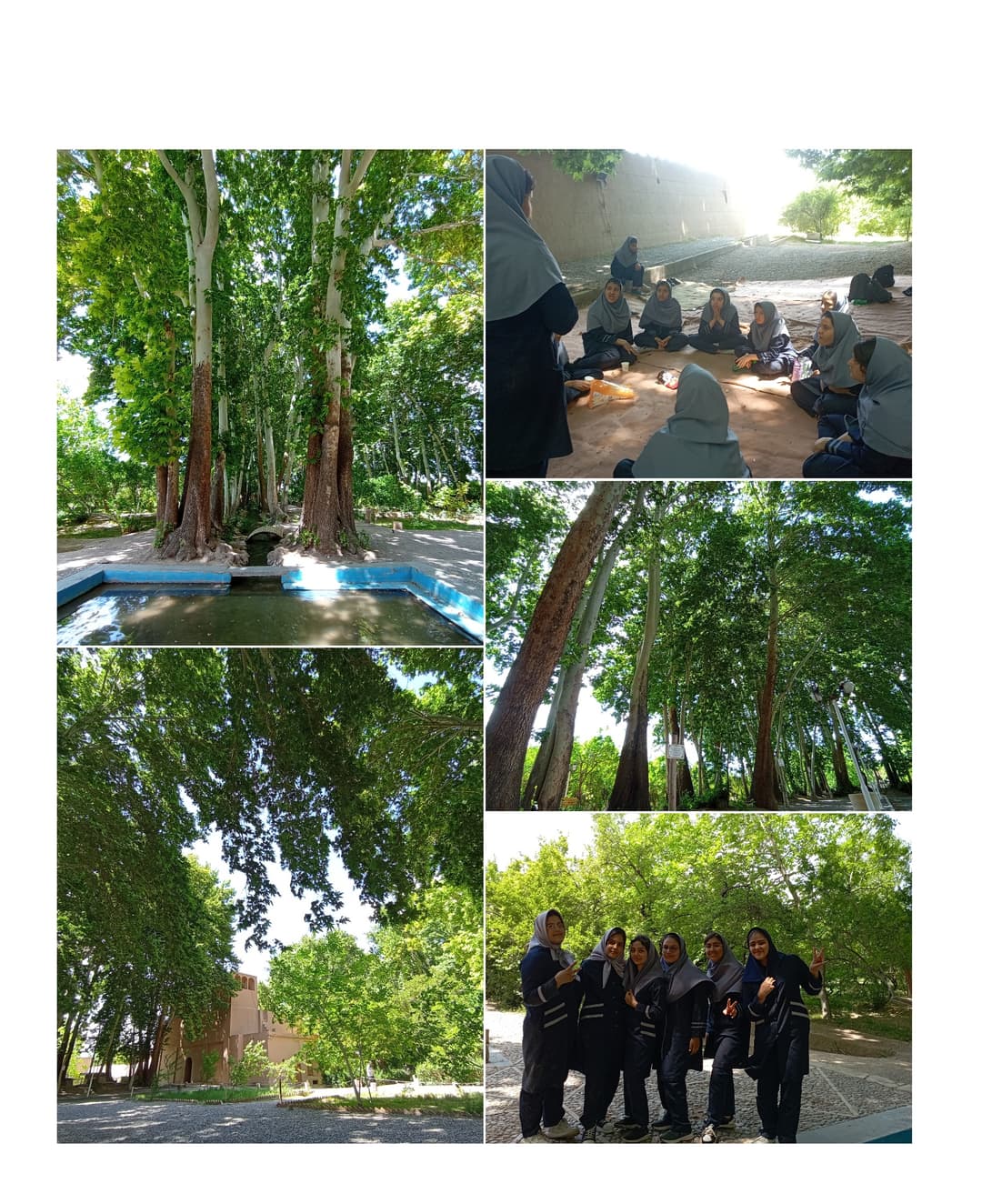 تصویر مقاله